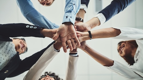 Organizational Alignment and Strategy Execution - Effectiveness